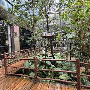 Bali Starling Aviary