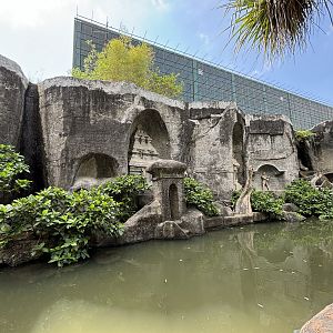 Crab-eating Macaque Exhibit