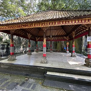 Asian Elephant Bathing Area