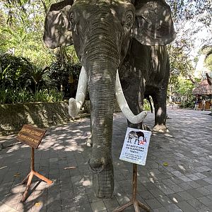 Elephant Statue