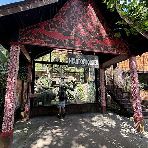 Proboscis Monkey Exhibit