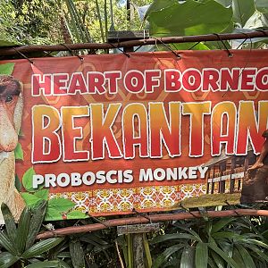 Proboscis Monkey Exhibit Sign