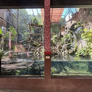 Proboscis Monkey Exhibit