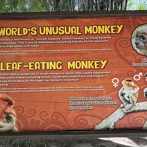 Proboscis Monkey Exhibit Sign