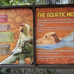 Proboscis Monkey Exhibit Sign
