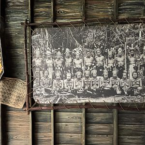 Dayak Indigenous Display