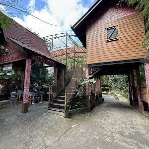 Proboscis Monkey Exhibit