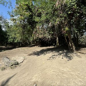 Assorted Deer Paddock