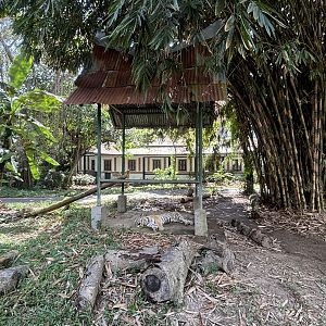 Tiger Exhibit - sleeping cat