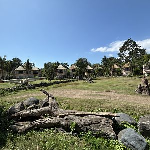 Giraffe Exhibit #2 + crashed plane