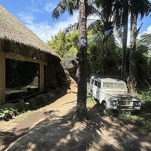 Lion Exhibit #2 - sleeping near jeep
