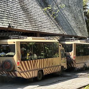 Safari Tour Buses