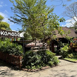 Komodo Dragon + Tiger Stage Area