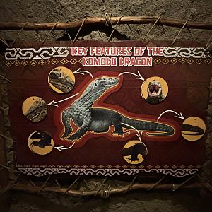Komodo Dragon Exhibit Sign