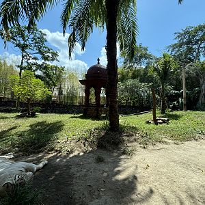 Tiger Temple