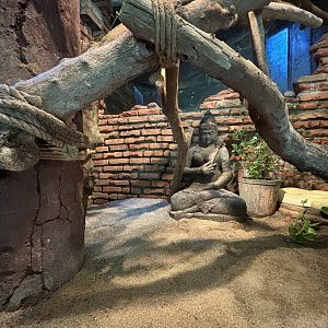 Reticulated Python Exhibit - Tiger Temple