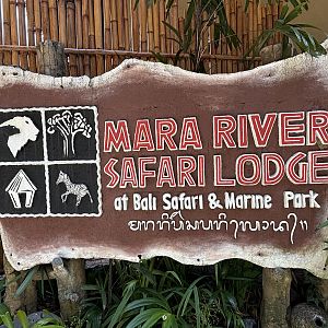 Safari Lodge Sign