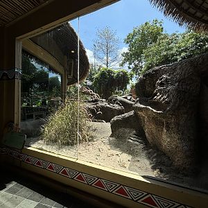 Meerkat Exhibit - restaurant view