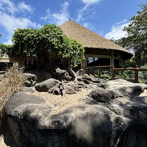 Meerkat Exhibit