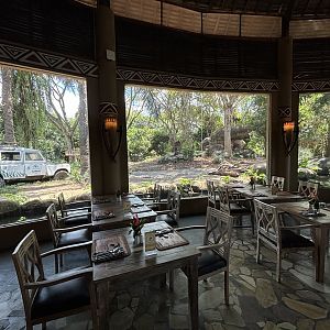 Tsavo Lion Restaurant + Lion Exhibit
