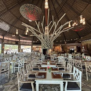 Tsavo Lion Restaurant - stunning!