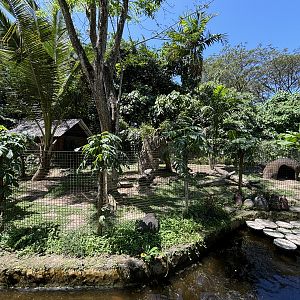 Chacoan Mara + Dusky Pademelon Exhibit