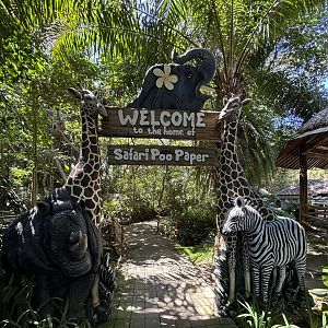 Safari Poo Paper Entrance