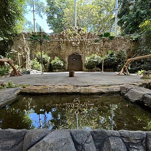 Asian Elephant Bathing Area