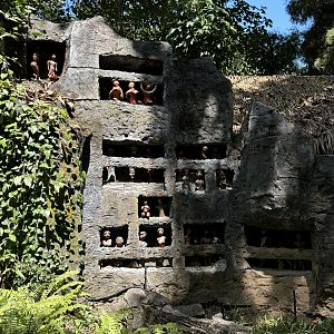 Rainforest Trail - tiny villagers