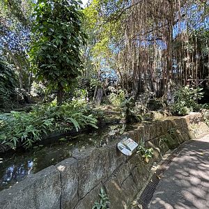 Greater Flamingo Exhibit