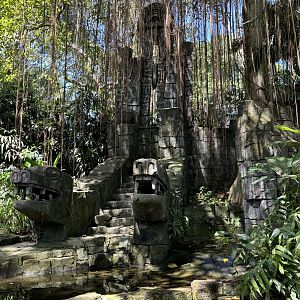 Snake Temple - no live animals