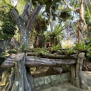 Binturong Exhibit #2 - zero barriers