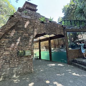 Zoo Nerd + Jaguar Exhibit