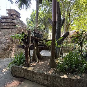 Binturong Exhibit #2 - zero barriers!