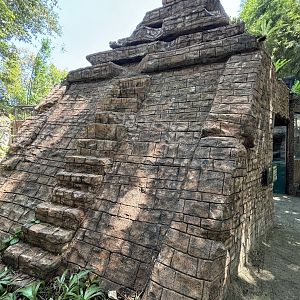 Rainforest Trail - temple