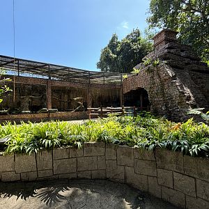 Jaguar Exhibit