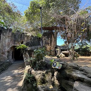 Walk-through Hornbill Aviary