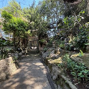 Walk-through Hornbill Aviary