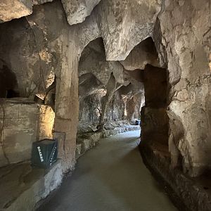 Cave Trail - only 1 animal exhibit