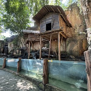 Small-clawed Otter Exhibit