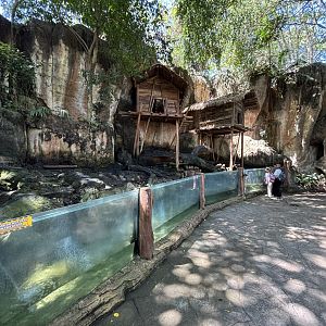 Small-clawed Otter Exhibit