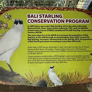Bali Starling Conservation Sign