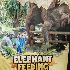 Feed an Elephant Sign