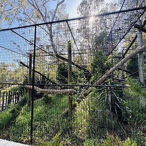 Japanese macaque enclosure
