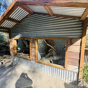 Olive and scrub python enclosures