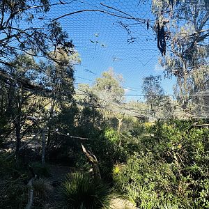 Walkthrough entrance aviary
