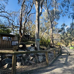 Quokka enclosure