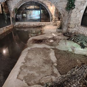 Nile Crocodiles Terrarium