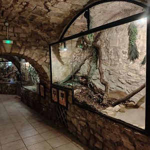 View of the Reptile House (Species list in comment)