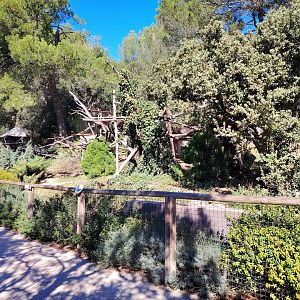 Himalayan Red Panda Exhibit